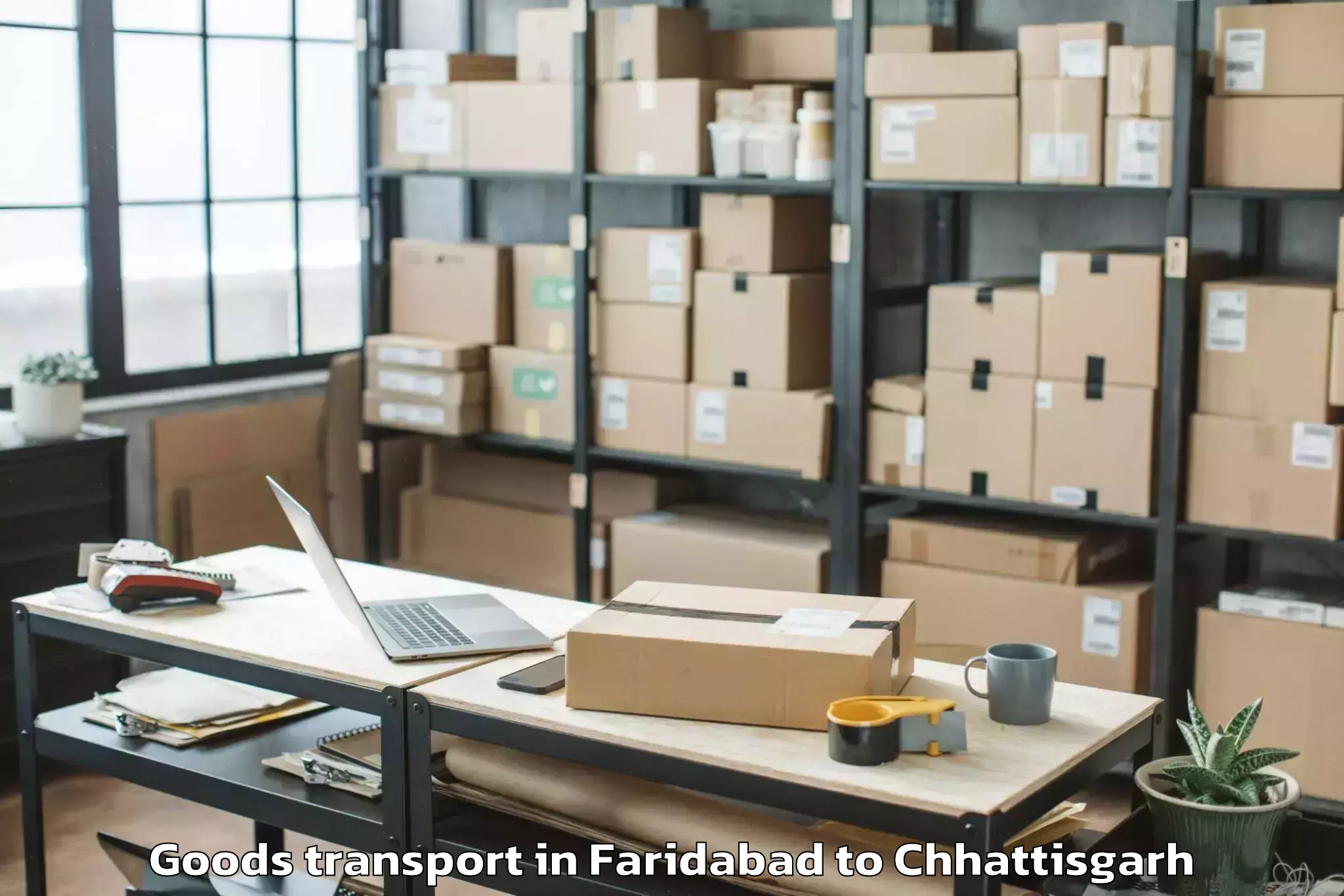 Efficient Faridabad to Sakti Goods Transport